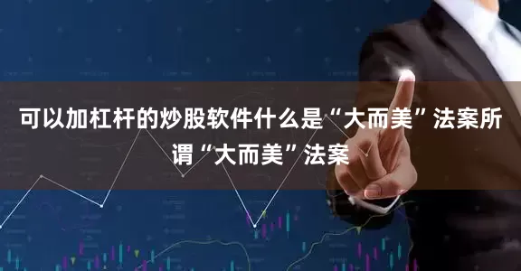 可以加杠杆的炒股软件什么是“大而美”法案所谓“大而美”法案